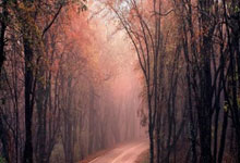 德国-意大利，克莱因丁斯特、格雷茨卡破门，基米希两助攻.