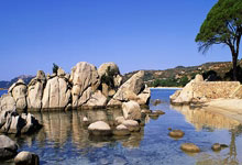 [德甲]勒沃库森保持“不败金身” 继续领跑德甲.